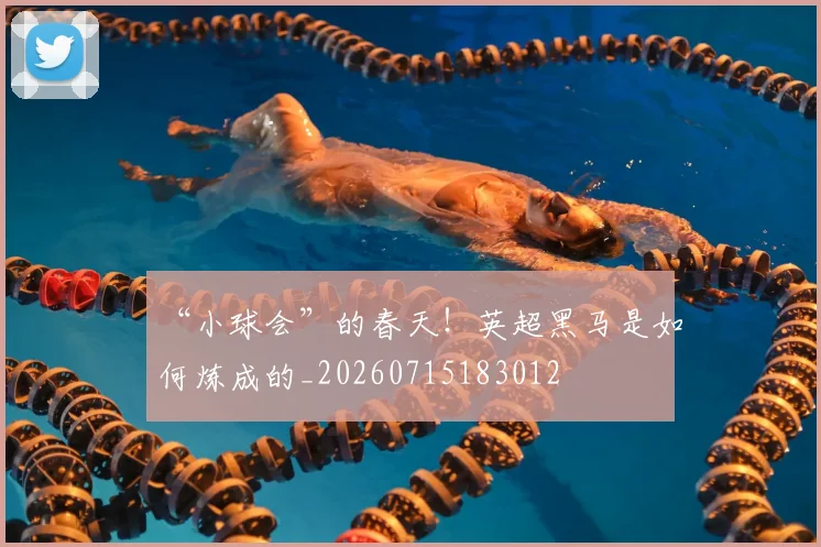 “小球会”的春天！英超黑马是如何炼成的_20260715183012